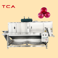 TCA Automatische Industriële Uienschil- en Wortelsnijmachine Aardappel- en Uiensnijmachine Productielijn