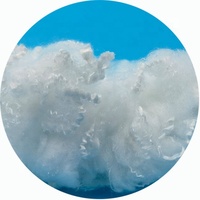 Fibre de polyester blanche brute pour le rembourrage