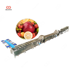 Nhỏ rửa trái cây và xử lý nước nóng máy móc xoài Máy chế biến, khô xoài sản xuất - Product Image 5