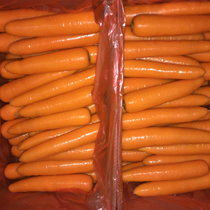 <span class=keywords><strong>2025</strong></span> <span class=keywords><strong>New</strong></span> Crop cà rốt bán buôn tươi màu Đỏ cà rốt - Product Image 4