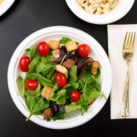 Ensemble d'assiettes en papier biodégradables et compostables de luxe, écologiques, jetables, pour le petit-déjeuner, taille personnalisée, pour le camping