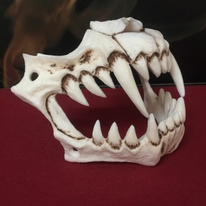 Máscara de Dientes de Tigre, Máscara de Terror de Plástico de 14x11.4cm, Accesorio de Disfraz de Halloween con Aspecto Desgastado para DIY - Product Image 3
