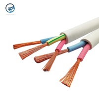 Kabel Listrik Fleksibel RVV Multi-Core Berlapis PVC Aluminium Putih 2-Core hingga 5-Core 0.75mm2 1.5mm2 2.5mm2