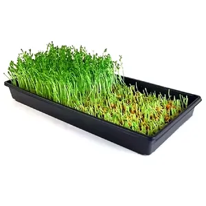 Di alta qualità di coltivazione idroponica vassoio, pianta microgreens nursery vassoio per il sistema di serra - Product Image 1