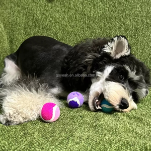 3'lü Paket İnteraktif Top Alma Oyuncağı Küçük Tenis Köpek Topu <span class=keywords><strong>1.5</strong></span> İnç Mini Tenis Topları Yavru Köpekler İçin - Product Image 5