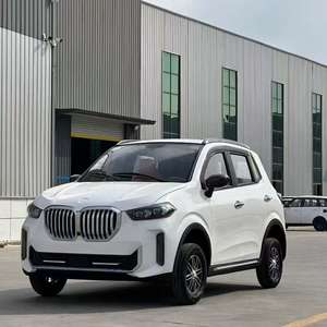 Système de direction gauche-droite personnalisable, nouvelle conception, véhicule familial pour adultes Falcon <span class=keywords><strong>Taxi</strong></span> à faible vitesse, 3500W, fabricant direct - Product Image 1