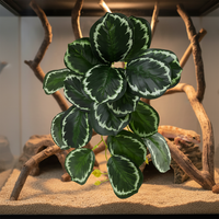 Plante murale artificielle réaliste, écologique et durable, à feuillage varié et tacheté, pour l'aménagement de terrariums de reptiles