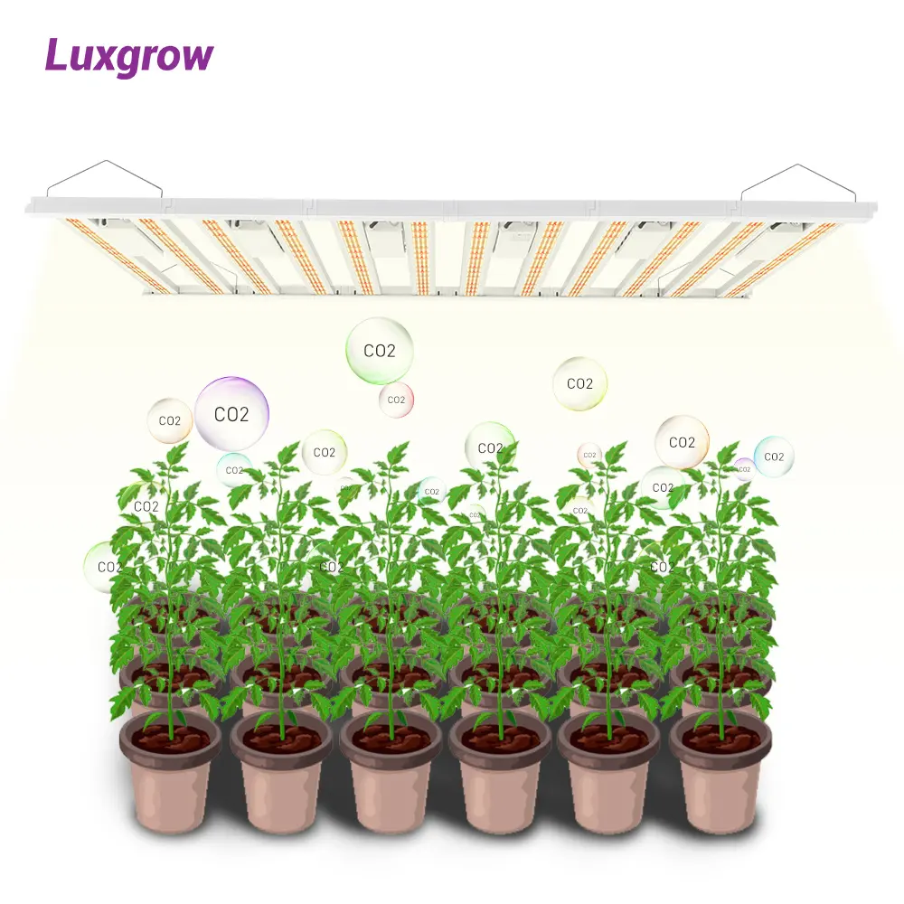 Luxgrow Flower Bloom Grow Light LED Indoor Plants 480W 720W 600W 800W 12 Bars 1500W 1000W Full Spectrum LED Grow Light Dimmable