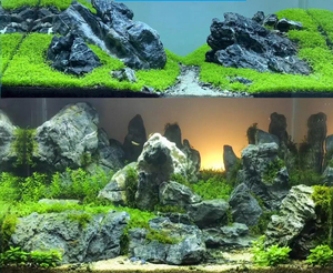 Acid Wash Decorative Dragon <strong>Rocks</strong> <strong>Seiryu</strong> Stones Reptile Terrarium Garden <strong>Aquarium</strong> Decoration - Product Image 4