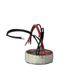 Ac Để DC 1000VA Đầu Vào 110V 220V 230V Đầu Ra 12V 24V 36V 48V Biến Áp Hình Xuyến Cho Khuếch Đại Âm Thanh - Product Image 1