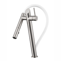 Robinet mélangeur d'eau chaude et froide Voriva 2024 en acier inoxydable brossé moderne, monocommande avec douchette extractible, pour évier de cuisine à montage sur plan