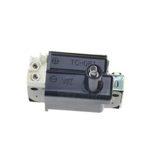 Paquete de bobina de encendido de alta calidad para <span class=keywords><strong>Honda</strong></span> TC08A 30510-P73-A01 30510-PT2-006 piezas de motor para motocicletas - Product Image 2