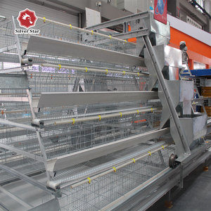 Venta Directa de Fábrica: Jaula para Gallinas Ponedoras Tipo A con Sistemas Automáticos de Alimentación y Bebederos, Capacidad para 120 Gallinas, Vida Útil de 20-25 Años - Product Image 1