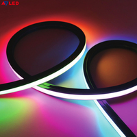 Bande lumineuse LED en silicone noir 16*16cm Tube flexible néon IP67 Étanche Angle de faisceau de 120 degrés pour hôtel