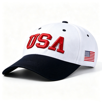 Casquette de baseball structurée USA brodée avec lettres sportives et patch drapeau américain, ajustable, pour hommes et femmes, idéale pour l'extérieur