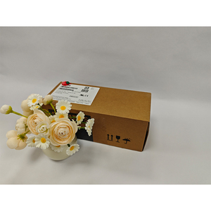 6ES7321-1BH02-0AA0 SIMATIC S7-300 ชุดอินพุตดิจิตอล SM321 มีสินค้าในสต็อก - Product Image 3