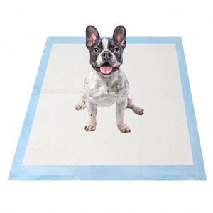 Meilleures ventes 2026 : Tapis d'apprentissage de la propreté pour chiots, chiens et chats, pour l'entraînement à la toilette et l'absorption des urines - Product Image 1