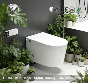 Inodoros Inteligentes con Asientos Calefactables y Control Remoto, Productos Inteligentes para el Hogar Montados en la Pared, Populares en la República Checa - Product Image 1