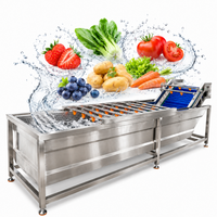 Bellenwasser voor de verwerking van mango, ananas, papaja, drakenvrucht en ander tropisch fruit