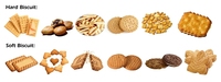 Moules rotatifs multifonctionnels Skywin certifiés CE ISO pour ligne de production de biscuits entièrement automatique