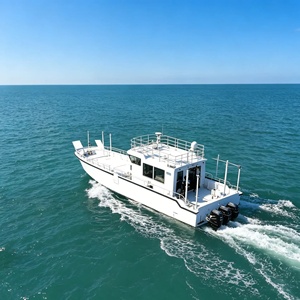 <span class=keywords><strong>Barge</strong></span> multifonction à pont plat en aluminium Grandsea de 52 pieds à vendre - Product Image 6