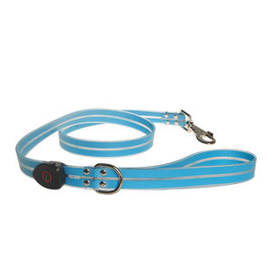 Correa de perro Con luz intermitente LED recargable por USB personalizada patrón sólido nailon brillante estilo de moda oscuro correa de perro personalizada - Product Image 6