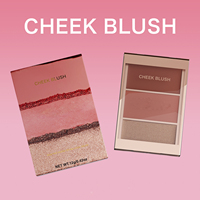Palette de poudre illuminatrice et de contouring végétalienne trois couleurs, éclaircit les yeux, maquillage multifonctionnel 3-en-1 pour le visage