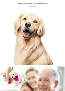 <span class=keywords><strong>อุปกรณ์</strong></span>ทางการแพทย์สัตว์สัตวแพทย์ที่เชื่อถือได้มีจำหน่ายรวมถึงเครื่องวัด<span class=keywords><strong>ออกซิเจน</strong></span><span class=keywords><strong>ใน</strong></span>ชีพจรแบบใช้มือถือสำหรับแมวและสุนัข - Product Image 4