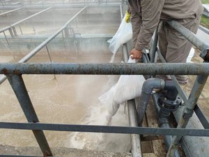 Traitement aérobie des eaux usées d'élevage de bétail et de volailles, élimination du DCO, BioPower300, bactéries améliorées, <span class=keywords><strong>2</strong></span>-5 mg/L d'oxygène dissous, pH - Product Image 6