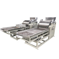 Broyeur de Biscuits et de Grains de Pain 100-200kg/h – Machine à Broyer les Biscuits et les Grains de Pain en Morceaux pour la Production de Biscuits