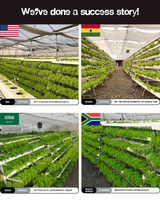Nouvelle Arrivée CultivationKits de culture hydroponique Serre Verte Ensemble Complet Système Vertical Intérieur Nft Hydroponique