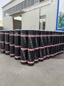 Membrane d'étanchéité SBS épaissie 3 mm, résistante au feu, au soleil et au gel, style moderne, pour réparation de fuites - Product Image 1