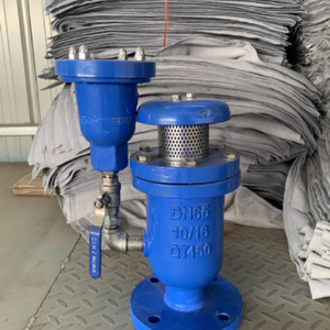 Yangmiao <span class=keywords><strong>PN50</strong></span> DN200 brida CARX(FGP4X) compuesto de aguas residuales compuesto de liberación rápida de aire/válvula de escape automática Shanghai China - Product Image 6
