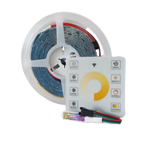 Télécommande double couleur à effet d'eau courante SMD 24V SPI Controller WS2811 24V Smart Flowing CCT LED Strip Light 120LED