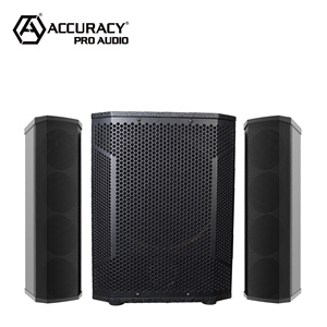 Loa siêu trầm chuyên nghiệp Accuracy Pro Audio WI312AD, hệ thống loa cột, dùng cho sân khấu, DJ, tiệc tùng, rạp hát gia đình. - Product Image 4
