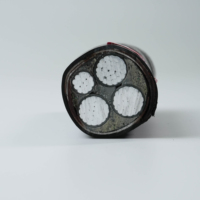 Cable de Alimentación de Bajo Voltaje con Aislamiento de PVC y Conductor de Aluminio Libre de Oxígeno, Modelo WDZB YJY23, Clasificación IP67, Resistente al Fuego, Industrial