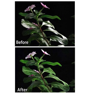 <span class=keywords><strong>Filter</strong></span> kamera Polarizer bundar <span class=keywords><strong>4</strong></span>*5.65 CPL profesional pabrik <span class=keywords><strong>Filter</strong></span> Cine multilapis OEM terbuat dari kaca - Product Image 6