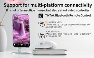 TikTok – tablette de téléphone, ordinateur Bluetooth, souris sans fil, chargeur lumineux 2023G USB, souris Portable sans fil, offre spéciale, 2.4