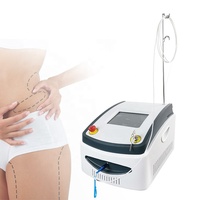 2024 Offre Spéciale meilleur prix machine lipolyse 980nm diode laser physiothérapie pour l'amincissement du corps