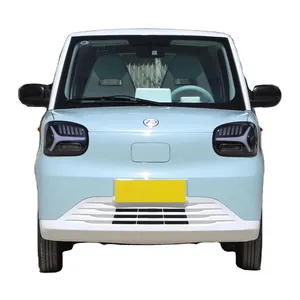 Carro novo barato da China, hatchback de 4 lugares, carro EV 2024, Zhidou Rainbow, 125 km, 205 km, veículos elétricos de energia nova para adultos