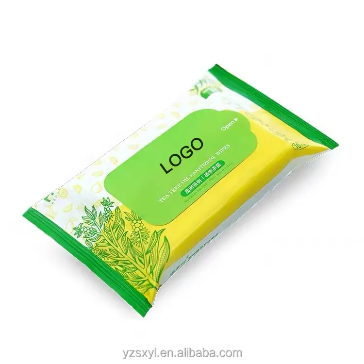 Salviette umidificate profumate adulti ecologici 10000 borse richiesta personalizzata in tessuto Non tessuto Logo personalizzato salviette femminili accettabili vita quotidiana