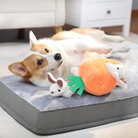 Jouet en peluche pour chien Hide & Seek, 5 pièces, jouet interactif couineur lapin et carotte