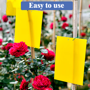 Pièges collants jaunes imperméables jetables pour tiques, serre intérieure/extérieure, 10*25cm, avec logo personnalisé, 50 pièces - Product Image 4