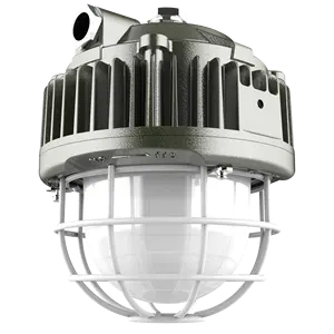 ATEX 10W 20W 30W 40W IP66 Explosion Proof Lampu Harga Ex Proof Lampu Led Anti Ledakan Cahaya