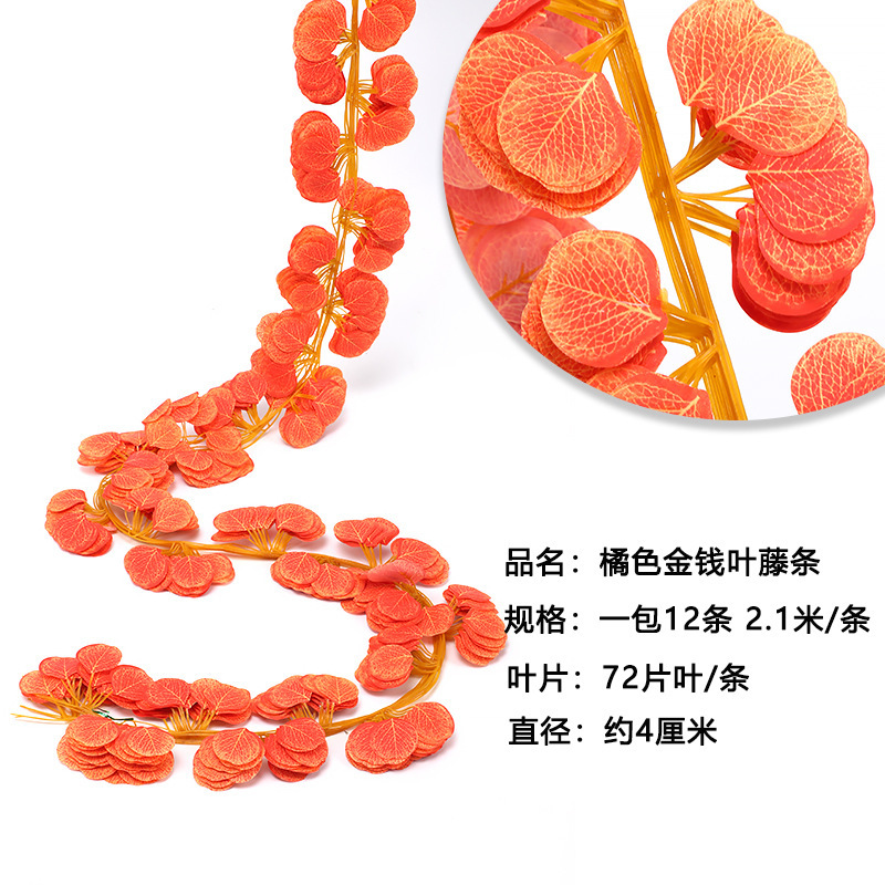 72 Eucalyptus Strips - Orange (12 strips)