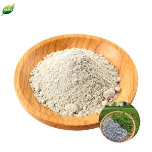 KLIFE fabrika kaynağı bitkisel dihidromiricetin Ampelopsis Grossedentata yaprak asma çay ekstresi CAS 27200-12-0 dihidromiricetin <span class=keywords><strong>98</strong></span>% - Product Image 1