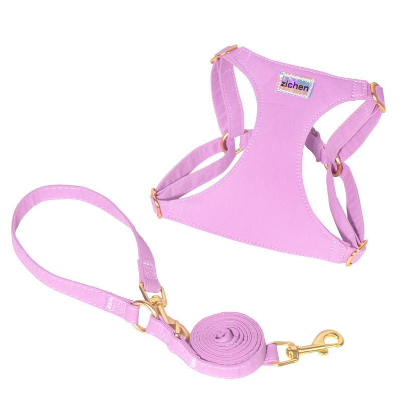 2-purple-matching leash