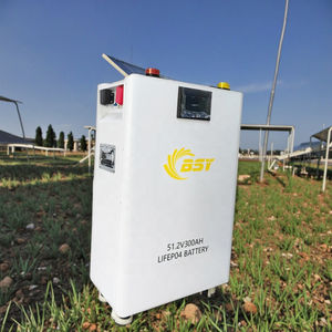 เคสแบตเตอรี่15kwh พร้อมหน้าจอชุด DIY 200A BMS DC Breaker 48V 51.2V 320ah 300Ah 280ah Lifepo4กล่องแบตเตอรี่ลิเธียมไอออน - Product Image 1