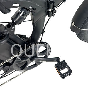 Puissant Durable Adulte Longue Portée Batterie Au Lithium 500W 20 pouces Gros Pneu Ebike Vélo Vélo Électrique Pliant - Product Image 4