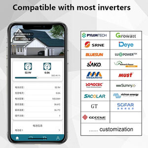 Inversor Inteligente <span class=keywords><strong>Seplos</strong></span> 3.0 <span class=keywords><strong>BMS</strong></span> 8S 13S 14S 15S 51.2V 50A 100A <span class=keywords><strong>150A</strong></span> para Baterías de Litio Li-ion Lifepo4, <span class=keywords><strong>Seplos</strong></span> 3.0 16S 48V 200A <span class=keywords><strong>BMS</strong></span> - Product Image 6